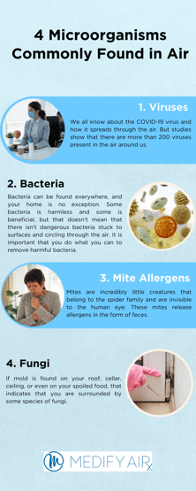 4 Microorganisms Commonly Found in Air
