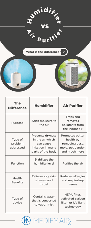 Humidifier vs Air Purifier Infographics