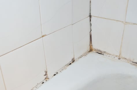 Mold in the shower